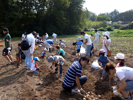 農業体験